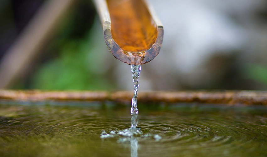 Close up of a water feature in a residential backyard.