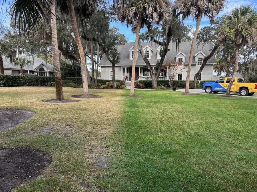 A half green, half brown lawn, ready for grass painting by The Grounds Guys.
