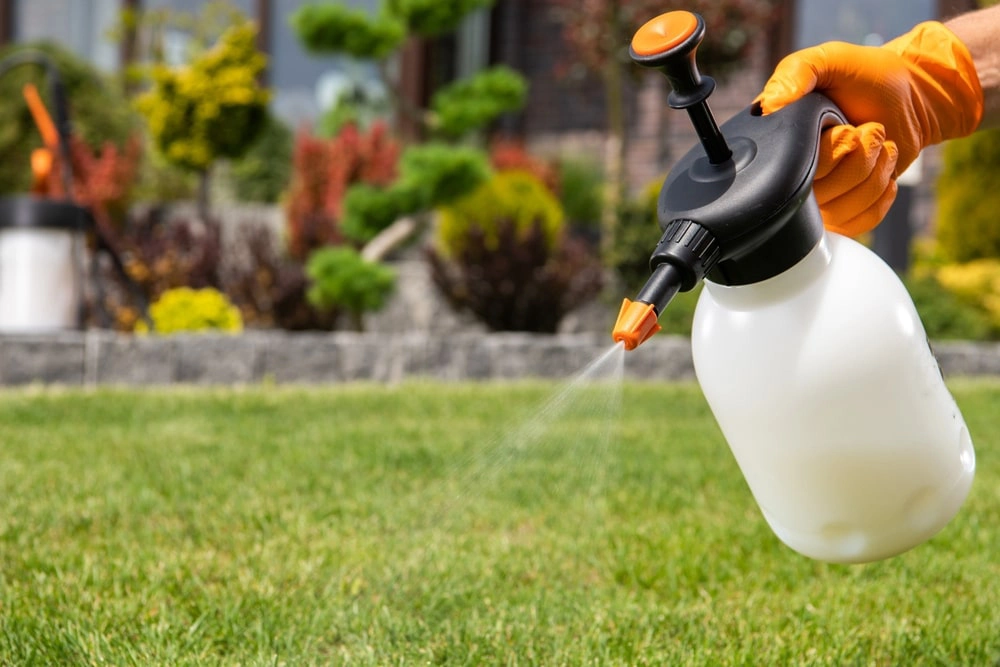 Landscaper spraying liquid herbicide on grass.