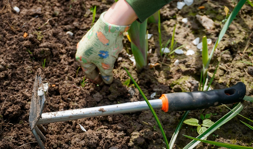 Landscaper pulling weeds from a flower bed