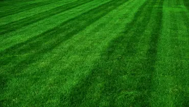 LawnMowingPattern