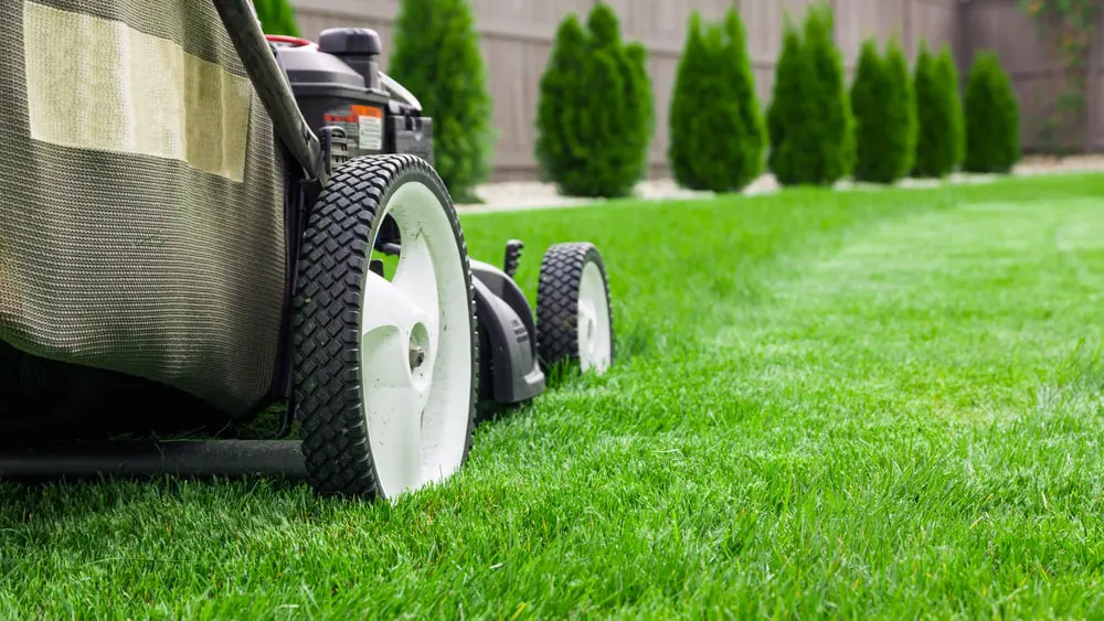 Lawn mower on grass.