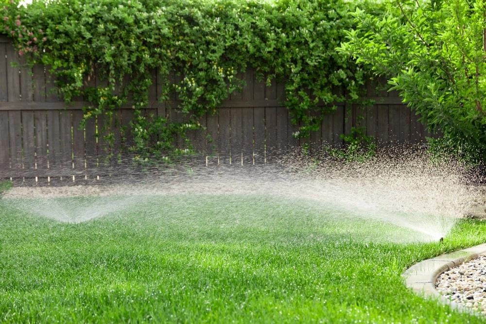 Lawn sprinkler system.