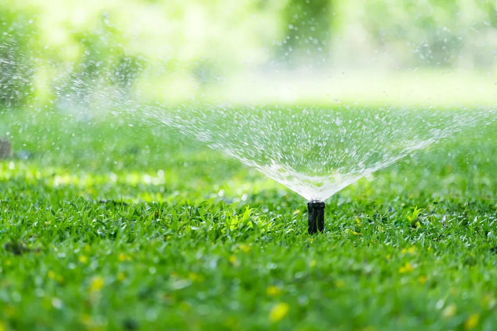 Lawn sprinkler