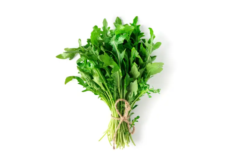 Arugula