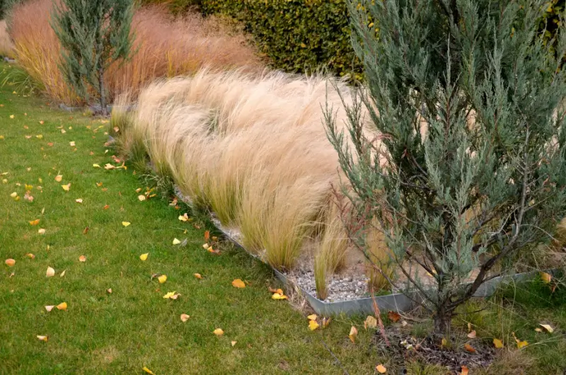 Residential garden bed with metal edging