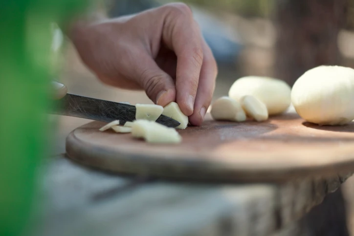 Garlic for Mosquito Control