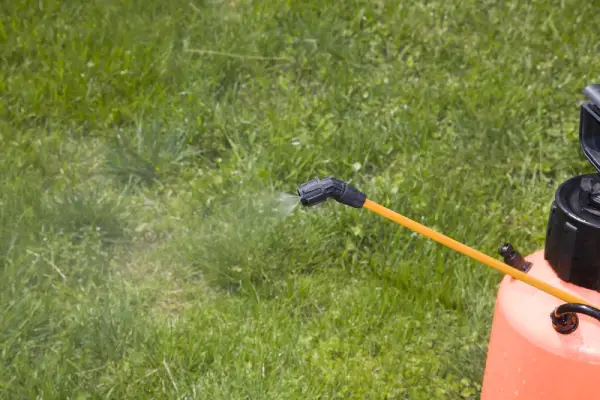 Pesticide being sprayed on lawn.