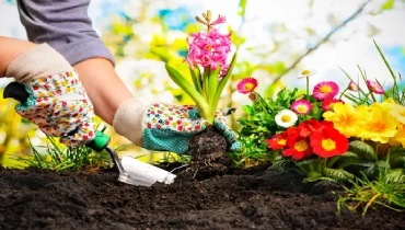 a person planting flowers