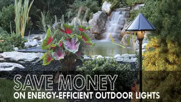 Landscape with text that reads Save money on energy-efficient outdoor lights.