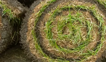 Rolls of sodded grass.