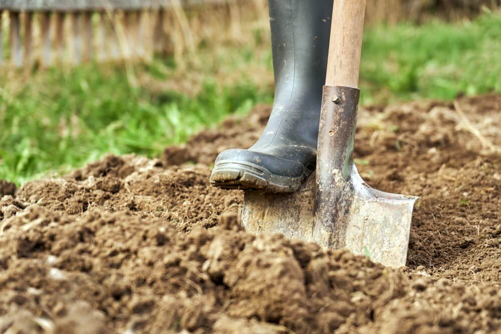 Landscaper using spade for flower bed edging