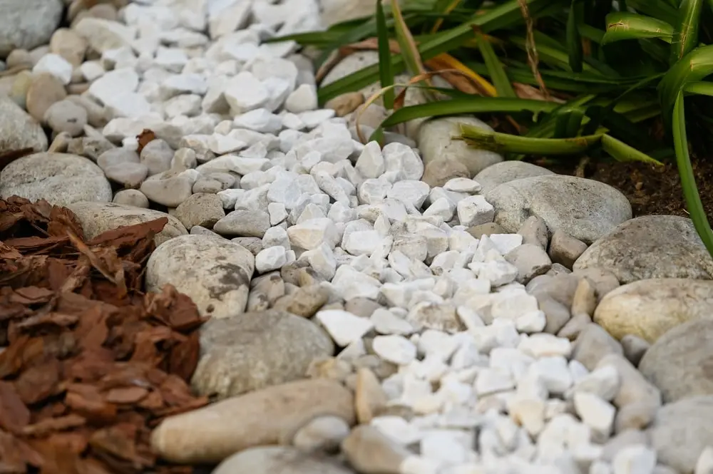 Stone mulch in a garden