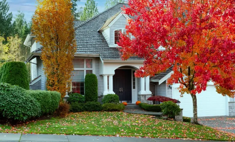 Colorful trees in a front yard during the fall