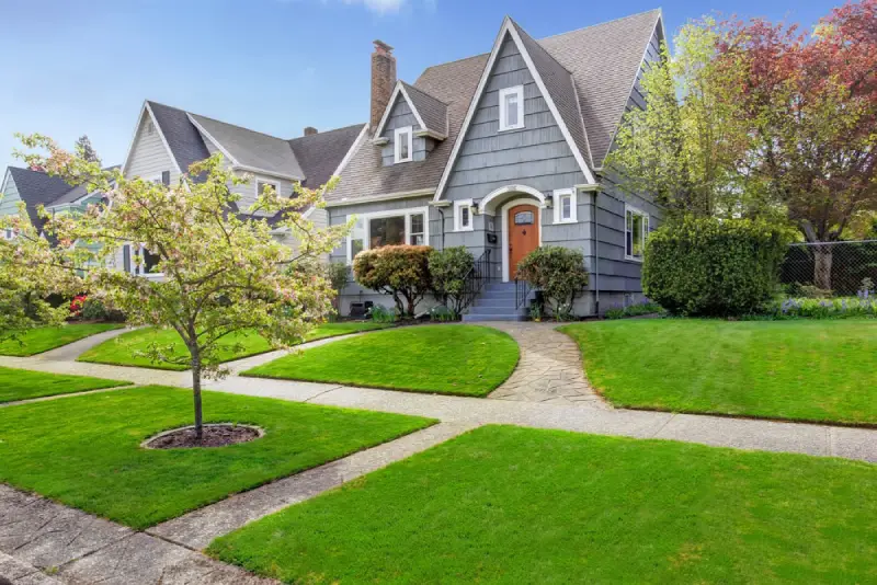 Medium sized trees in residential front yard