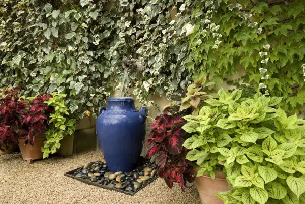 Water feature in residential garden.