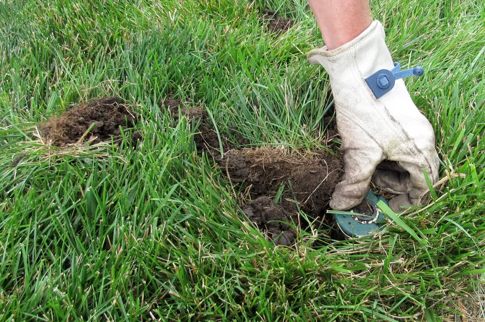 Landscaper digging up broken sprinkler system