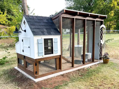 Chicken-Coop