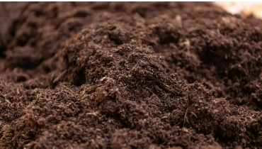 Fresh Soil mixed with compost