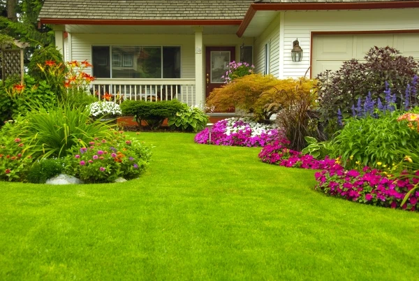 A lush lawn in the front yard of a home.