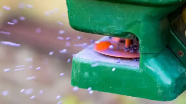 Lawn fertilizer spreader spraying beads.