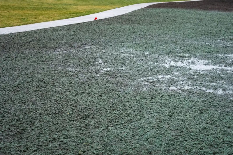 Hydroseeding slurry covering large area.