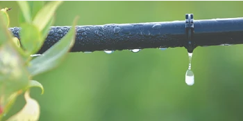 Drip irrigation system