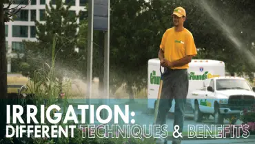 irrigationtechniques