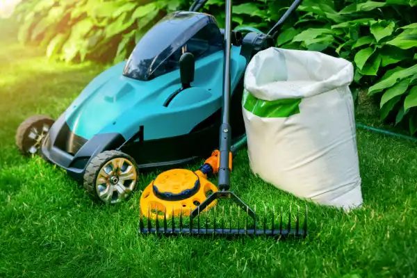 Lawn care tools on grass.