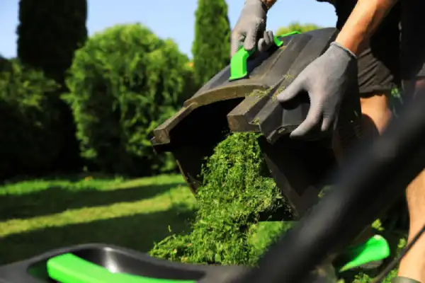 Lawn mower box filled with grass being emptied.