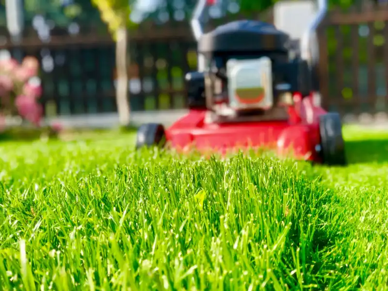 Red lawn mower cutting bright-green grass.