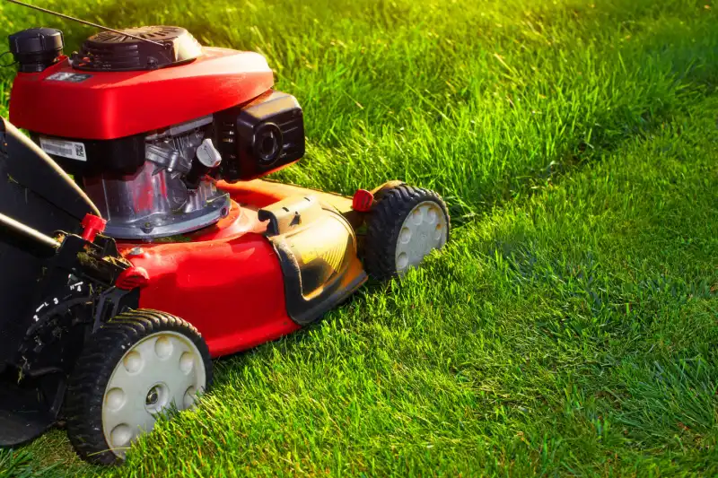 Lawn mower cutting grass.