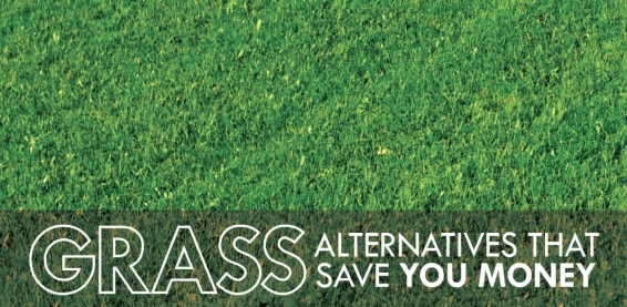 Grass with text: 