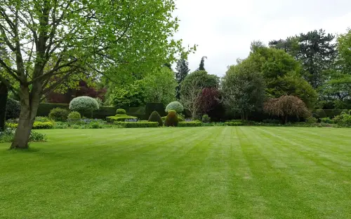 Residential-Landscape