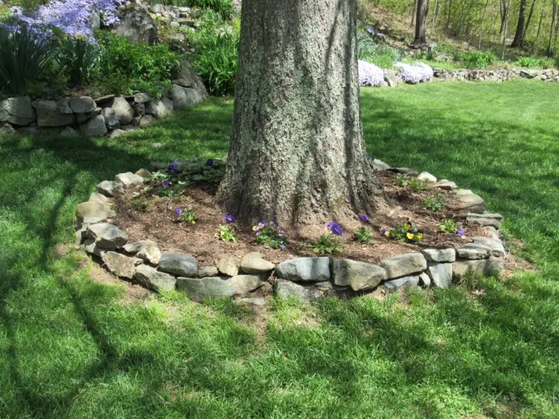 Low circular retaining wall around a tree.