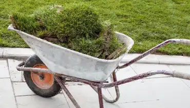 Grass sod in wheelbarrow.