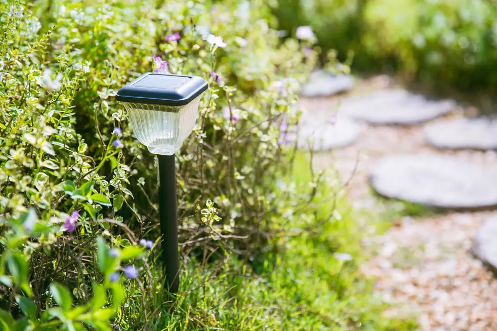 Solar light in garden