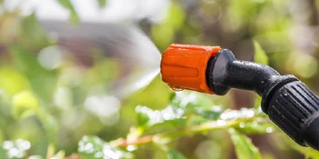 Person spraying plants with flea spray