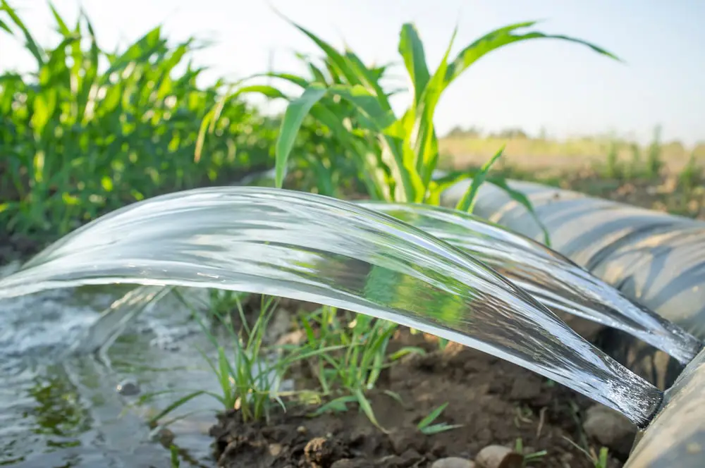 Surface irrigation system