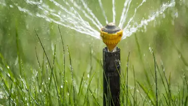 Sprinkler watering grass