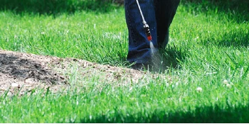 Person spraying grass with pesticide