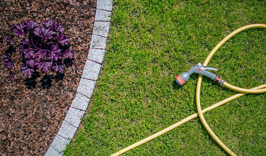 Garden hose lying on a lawn