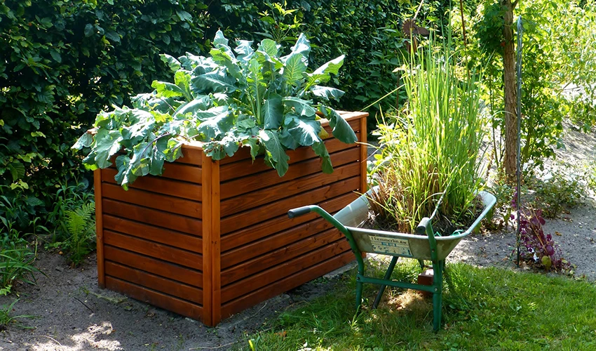 raised garden bed