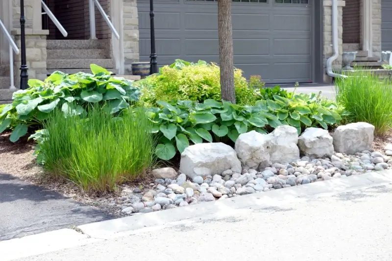 Plants in garden bed with river rocks. 