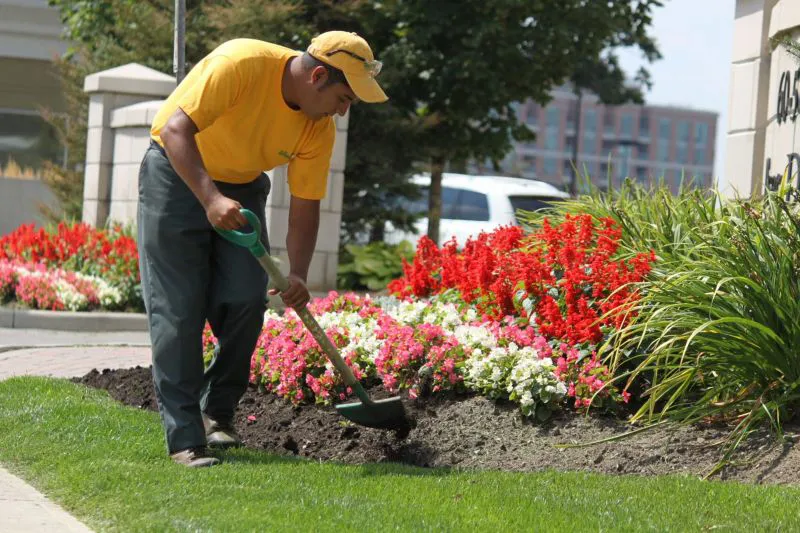 Grounds Guys landscaper doing landscape installation of flower bed (1)