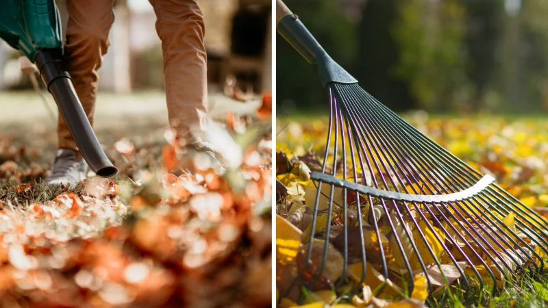 grounds guys landscapers performing fall season clean up (1)